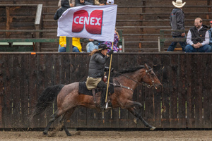 Branding-Cenex.jpg