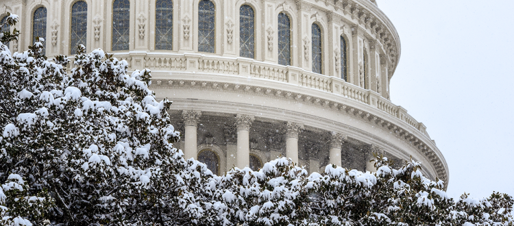 Tell Your Story to Capitol Hill