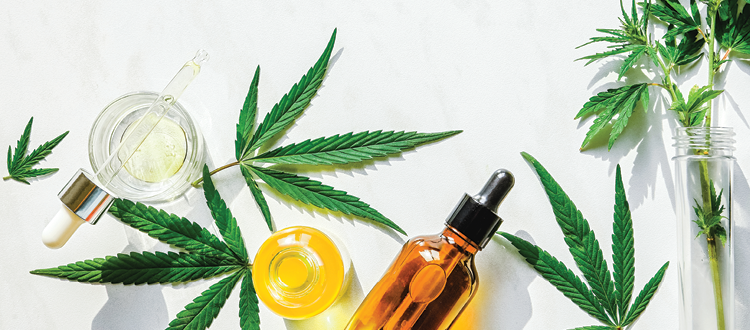 What's New With CBD? 
